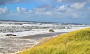Stormiga beach waves sköljer mot sanden, med gräs som vajar i vinden.