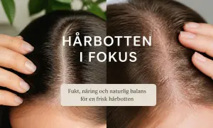 Nära bild på hårbotten, en med mörkt hår och en med ljusare. Texten "Hårbotten i fokus" och "Fukt, näring och naturlig balans för en frisk hårbotten". Kan hjälpa mot utslag i hårbotten.