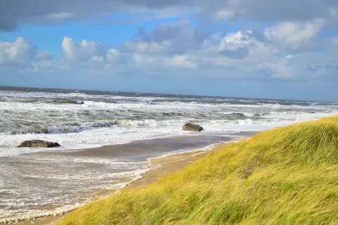 Stormiga beach waves sköljer mot sanden, med gräs som vajar i vinden.