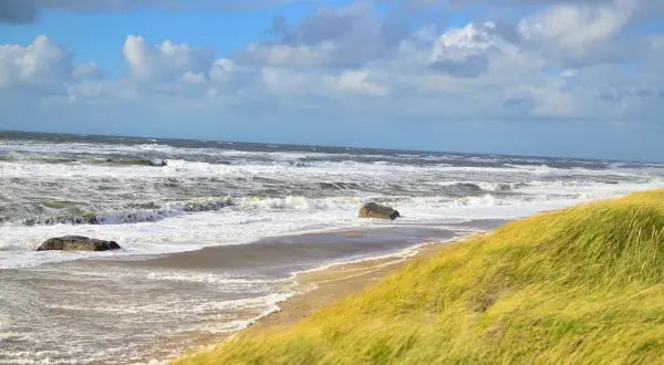 Stormiga beach waves sköljer mot sanden, med gräs som vajar i vinden.