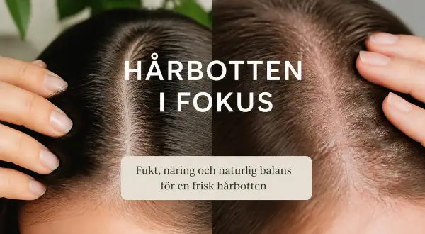 Nära bild på hårbotten, en med mörkt hår och en med ljusare. Texten "Hårbotten i fokus" och "Fukt, näring och naturlig balans för en frisk hårbotten". Kan hjälpa mot utslag i hårbotten.
