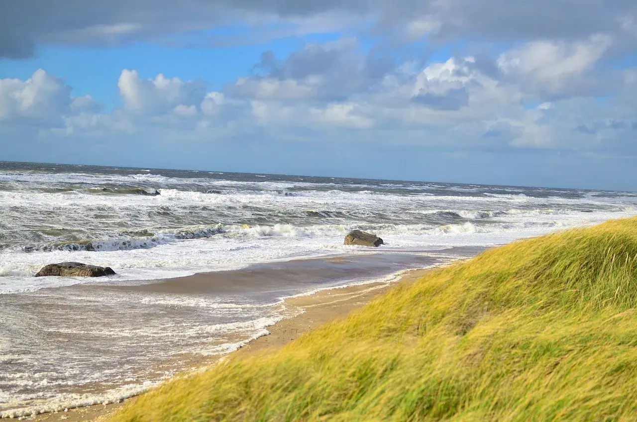 Stormiga beach waves sköljer mot sanden, med gräs som vajar i vinden.