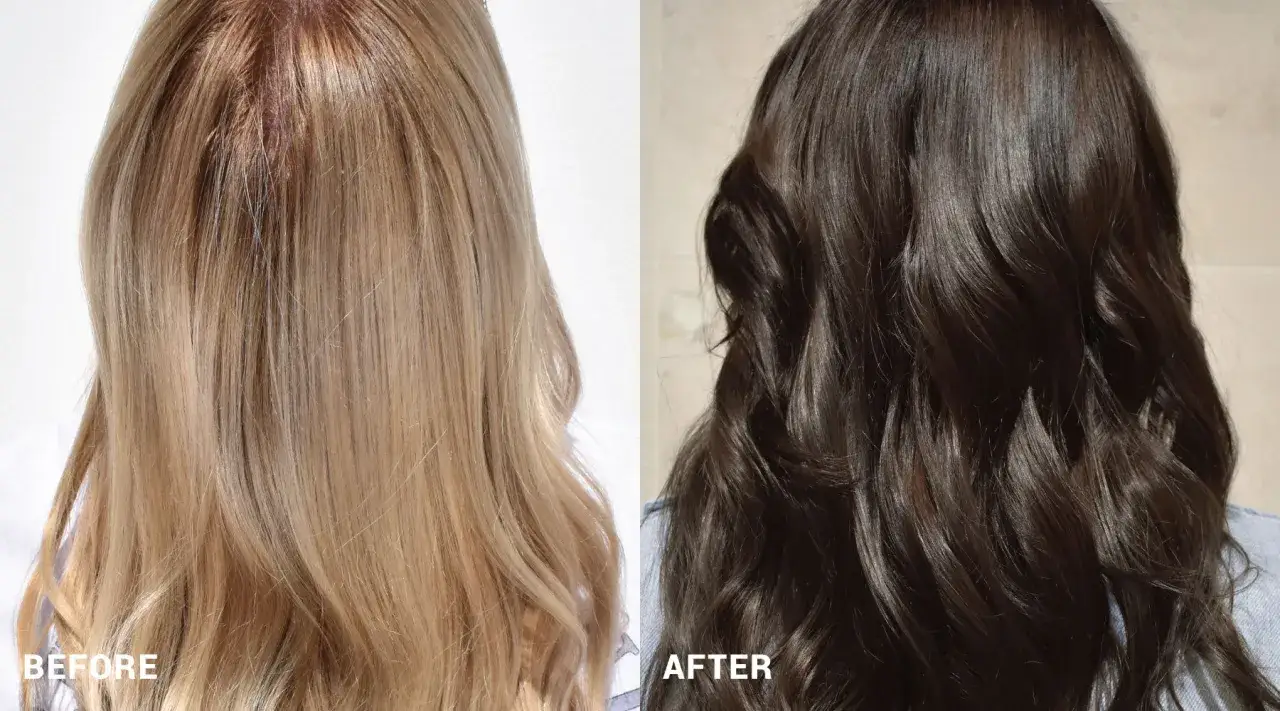F&ouml;re och efter-bild p&aring; h&aring;r som g&aring;r fr&aring;n blond till brunett.